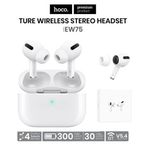 Hoco EW75 TWS Bluetooth 5.4 Headphones with Microphone – Stereo Sound and Charging Case