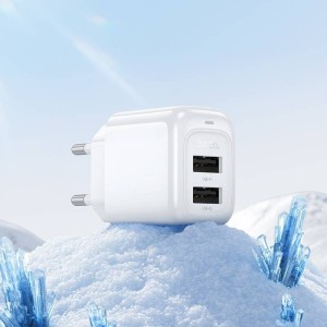 Hoco CS51A 2USB Charger + 12W MicroUSB Cable