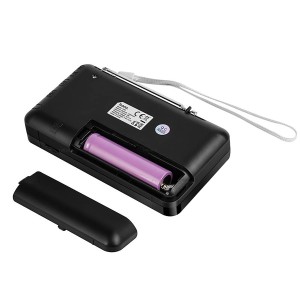 HOCO HI50 Portable Radio Bluetooth 5.3 AM/FM USB TF 5W Black