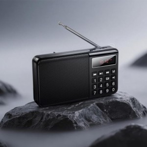 HOCO HI50 Portable Radio Bluetooth 5.3 AM/FM USB TF 5W Black